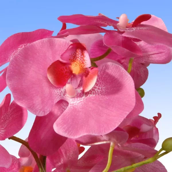 National Tree Company 17 in. Pink Orchid Flowers