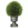 National Tree Company 27 in. Upright Juniper Ball Topiary Tree in a Decorative Urn