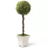 National Tree Company 30 in. Entrance Tree