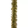 National Tree Company 9 ft. Pre-Lit Dunhill Fir Garland with Clear Lights