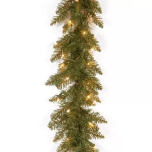 National Tree Company 9 ft. Pre-Lit Dunhill Fir Garland with Clear Lights