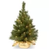 National Tree Company 24 in. Majestic Fir Tree with Clear Lights