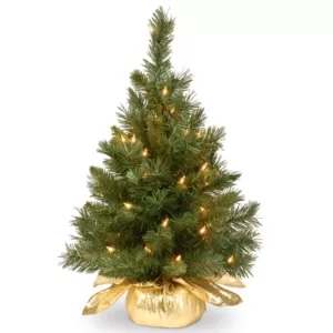 National Tree Company 24 in. Majestic Fir Tree with Clear Lights