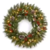 National Tree Company Frosted Berry 24 in. Artificial Wreath with Clear Lights