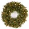 National Tree Company 24 in. Wispy Willow Artificial Christmas Wreath with Lights