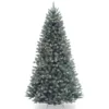 National Tree Company 7 ft. North Valley Spruce Blue Hinged Tree with 550 Clear Lights