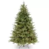 National Tree Company 7 ft. Feel Real Frasier Grande Hinged Tree with 800 Dual Color LED Lights