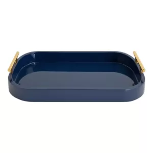 Kate and Laurel Lipton 18 in. x 3 in. x 10 in. Navy Blue Decorative Wall Shelf