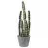 Nearly Natural Decorative Cactus Garden with Cement Planter