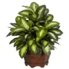 Nearly Natural 24 in. H Green Golden Dieffenbachia Silk Plant