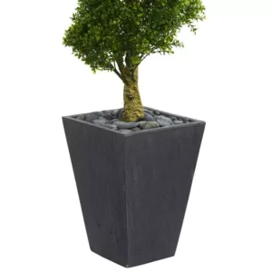 Nearly Natural 5 ft. High Indoor/Outdoor Boxwood Spiral Topiary Artificial Tree in Slate Planter