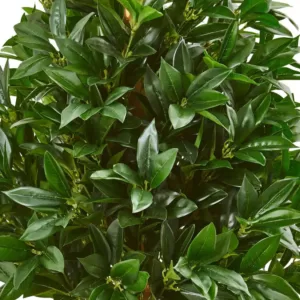 Nearly Natural Indoor/Outdoor 39-In. Bay Leaf Cone Topiary Artificial Tree in Terra Cotta Planter