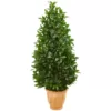 Nearly Natural Indoor/Outdoor 4.5-Ft. Bay Leaf Cone Topiary Artificial Tree in Terra Cotta Planter