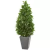 Nearly Natural Indoor/Outdoor 57-In. Bay Leaf Cone Topiary Tree in Slate Planter