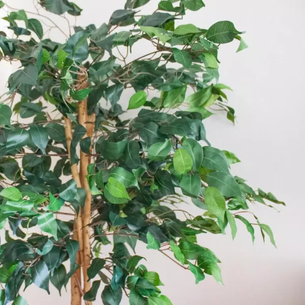 Nearly Natural 5 ft. High Indoor Ficus Tree