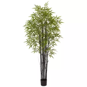 Nearly Natural Indoor and Outdoor 6 ft. Black Bamboo Tree UV Resistant