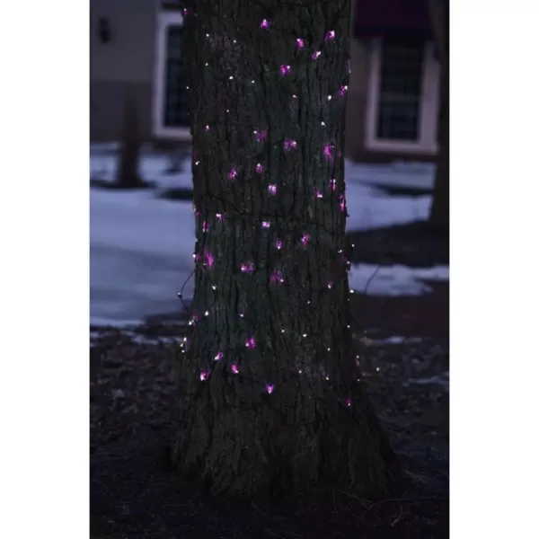 Northlight 2 ft. x 8 ft. Purple Mini Net Style Tree Trunk Wrap Christmas Lights with Brown Wire