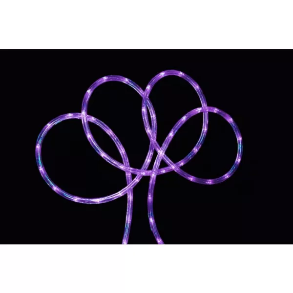 Northlight 18 ft. Purple LED Indoor/Outdoor Rope Lights