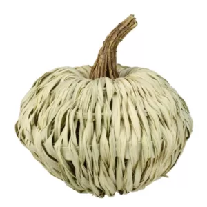 Northlight 10 in. White Autumn Harvest Woven Pumpkin Decoration