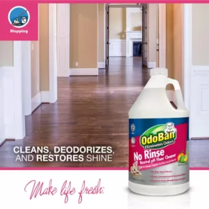 OdoBan 128 oz. No-Rinse Neutral pH Floor Cleaner (4-Pack)