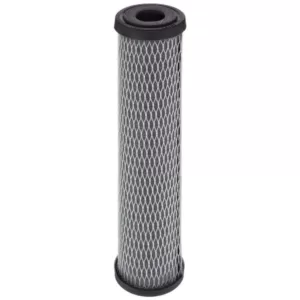 Pentek C-1 9.75 in. x 2.5 in. Carbon Water Filter