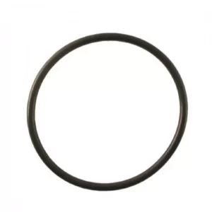 Pentek O-Ring