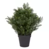 Pure Garden 26 in. Artificial Cedar Topiary