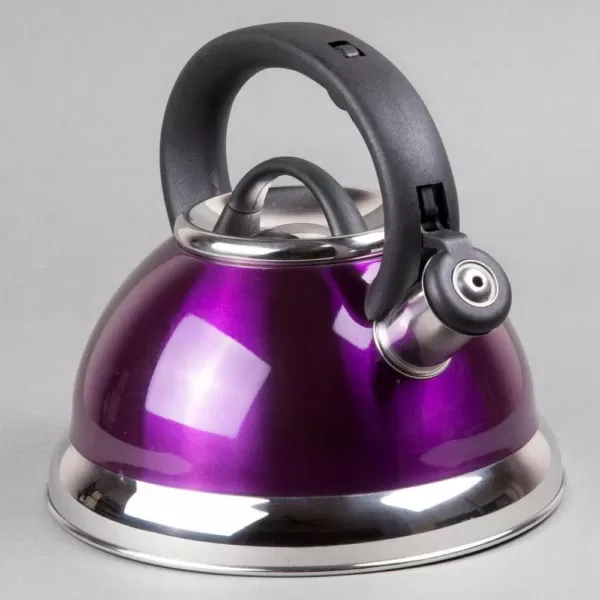 Creative Home Alexa 12-Cup Stovetop Tea Kettle in Purple