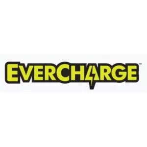 RYOBI ONE+ 18V Fast EVERCHARGE Charger