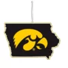 Team Sports America University of Iowa 5 in. NCAA Team State Christmas Ornament