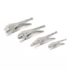 TEKTON Straight, Curved, Long Nose Locking Pliers Set (4-Piece)