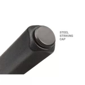 TEKTON 12 in. Angled Tip Handled Pry Bar with Striking Cap