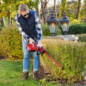 Toro Flex-Force 24 in. 60-Volt Max Lithium-Ion Cordless Hedge Trimmer - 2.5 Ah Battery and Charger Included