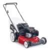 Toro Recycler 21 in. Briggs and Stratton High-Wheel Gas Walk Behind Push Mower