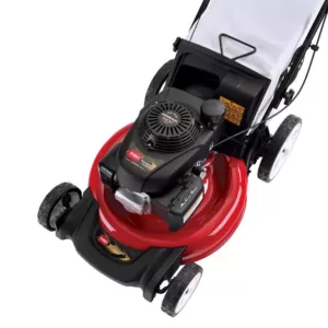 Toro Recycler 21 in. 160 cc Honda Engine High-Wheel Gas Walk Behind Push Lawn Mower