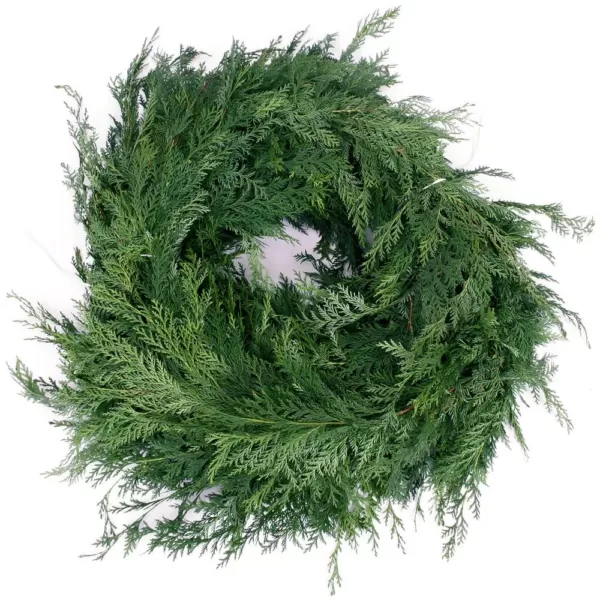 VAN ZYVERDEN 25 ft. Live Fresh Cut Pacific Northwest Cedar Mix Coil Garland