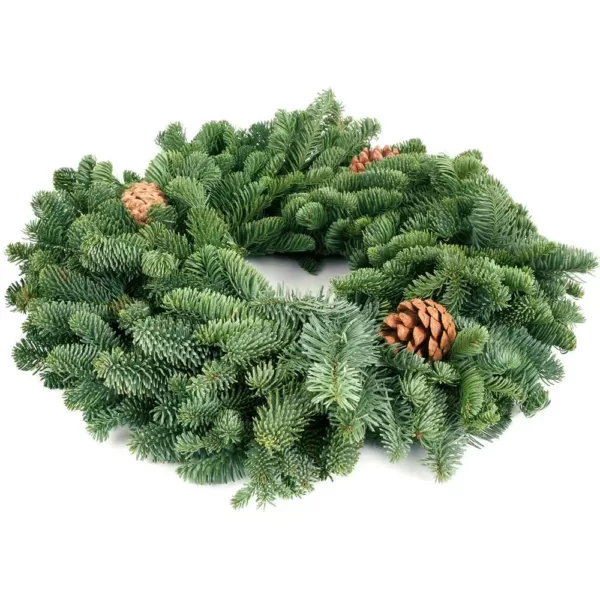 VAN ZYVERDEN 16 in. Live Fresh Cut Pacific Northwest Noble Fir Christmas Wreath with Cones