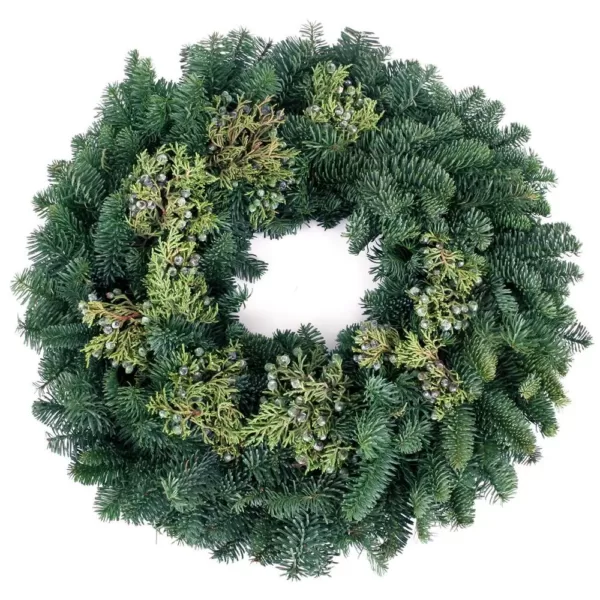 VAN ZYVERDEN 20 in. Live Fresh Cut Pacific Northwest Juniper Christmas Wreath