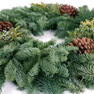 VAN ZYVERDEN 20 in. Live Fresh Cut Pacific Northwest Mixed Christmas Wreath Pine Cone Decorated