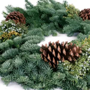 VAN ZYVERDEN 24 in. Live Fresh Cut Pacific Northwest Mixed Christmas Wreath Pine Cone Decorated