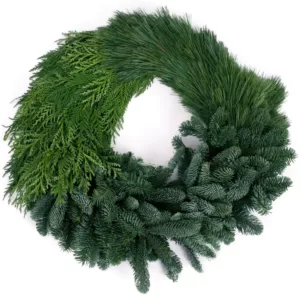 VAN ZYVERDEN 24 in. Live Fresh Cut Pacific Northwest Modern Block Christmas Wreath