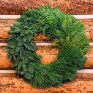 VAN ZYVERDEN 24 in. Live Fresh Cut Pacific Northwest Modern Block Christmas Wreath