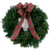 VAN ZYVERDEN 24 in. Live Fresh Cut Blue Ridge Mountain Mixed Christmas Wreath with Bow