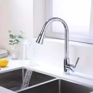 Vanity Art 9.06 in. Single-Handle Pull-Down Sprayer Kitchen Faucet in Chrome