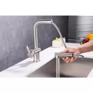 Vanity Art Single-Handle Pull Out Sprayer Kitchen Faucet in Polished Chrome