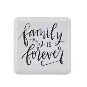 DANYA B "Family is Forever" Farmhouse Home Decor Metal Wall Art