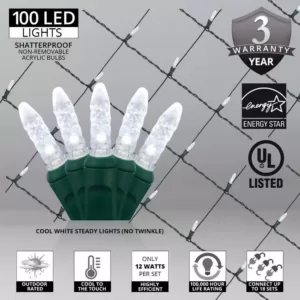 Wintergreen Lighting 48 in. x 72 in. 100-Light M5 LED Cool White Net Light Set