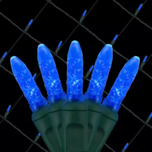 Wintergreen Lighting 48 in. x 72 in. 100-Light M5 LED Blue Net Light Set