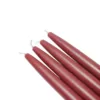 Zest Candle 6 in. Burgundy Taper Candles (Set of 12)