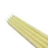 Zest Candle 12 in. Ivory Taper Candles (12-Set)